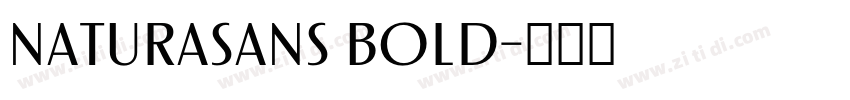 NaturaSans Bold字体转换